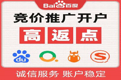 百度竞价广告投放成功案例解析